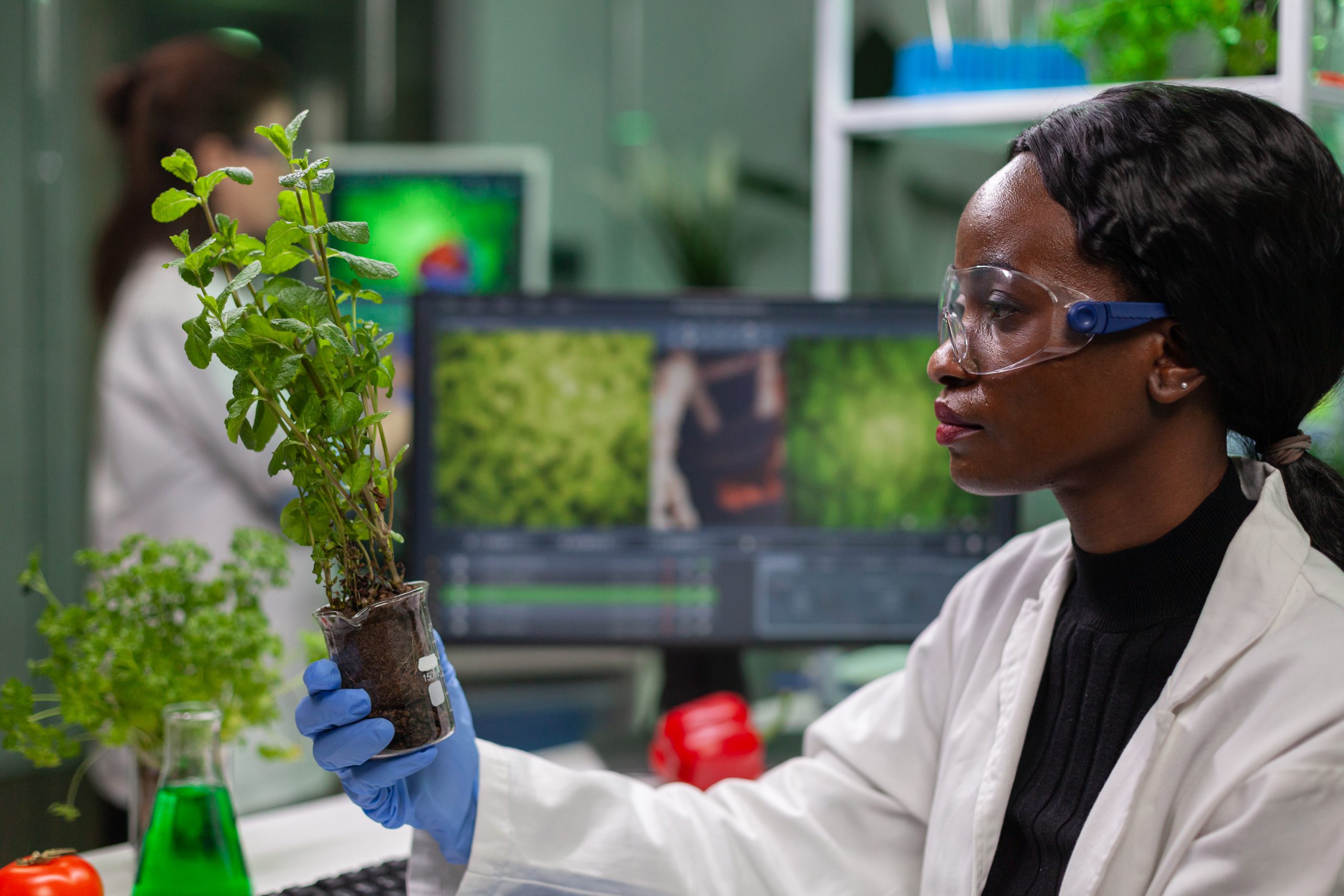 Biomédica analisa uma planta no laboratório